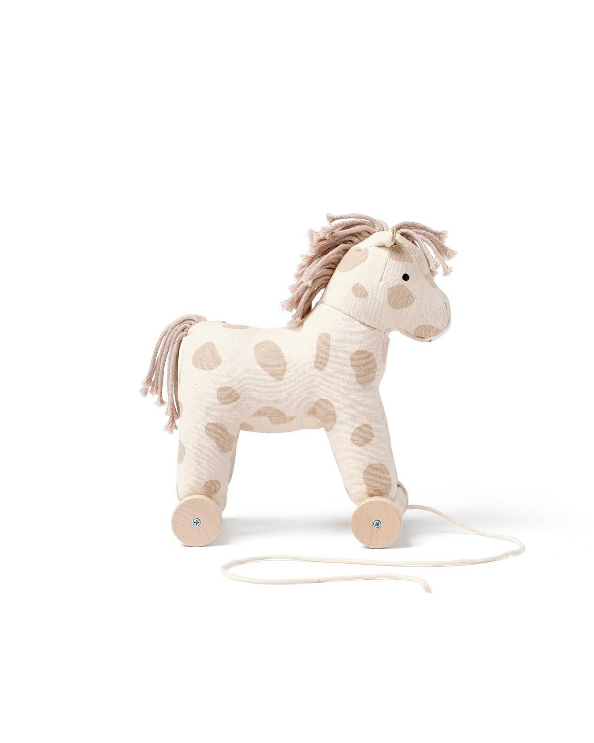 Nachziehtier Pferd Dotty