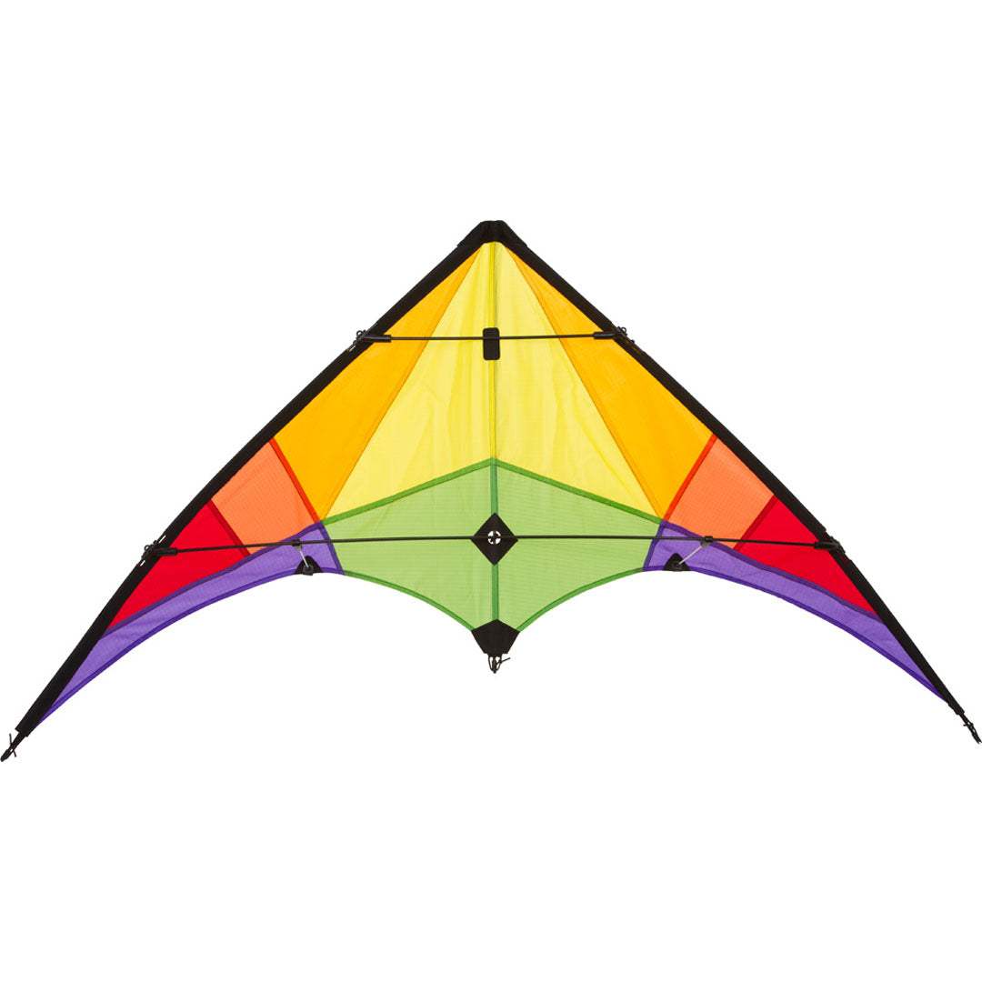 Drache Rookie Rainbow