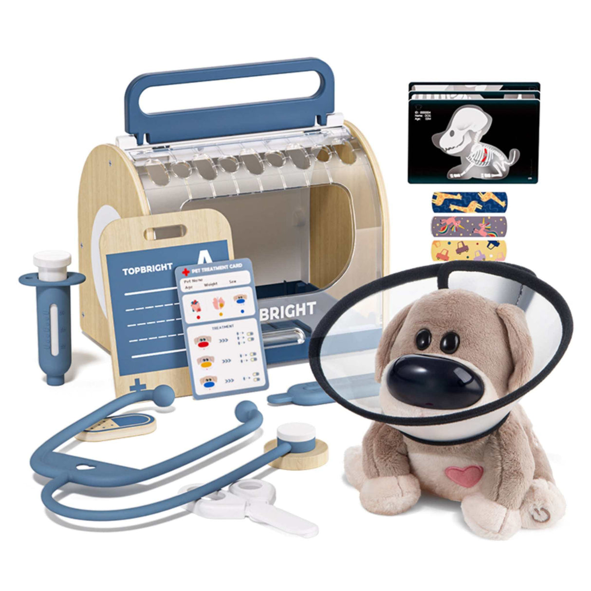 Haustier Dr. Dog