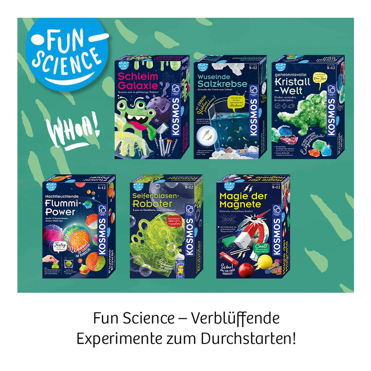 Fun Science Magie der Magnete