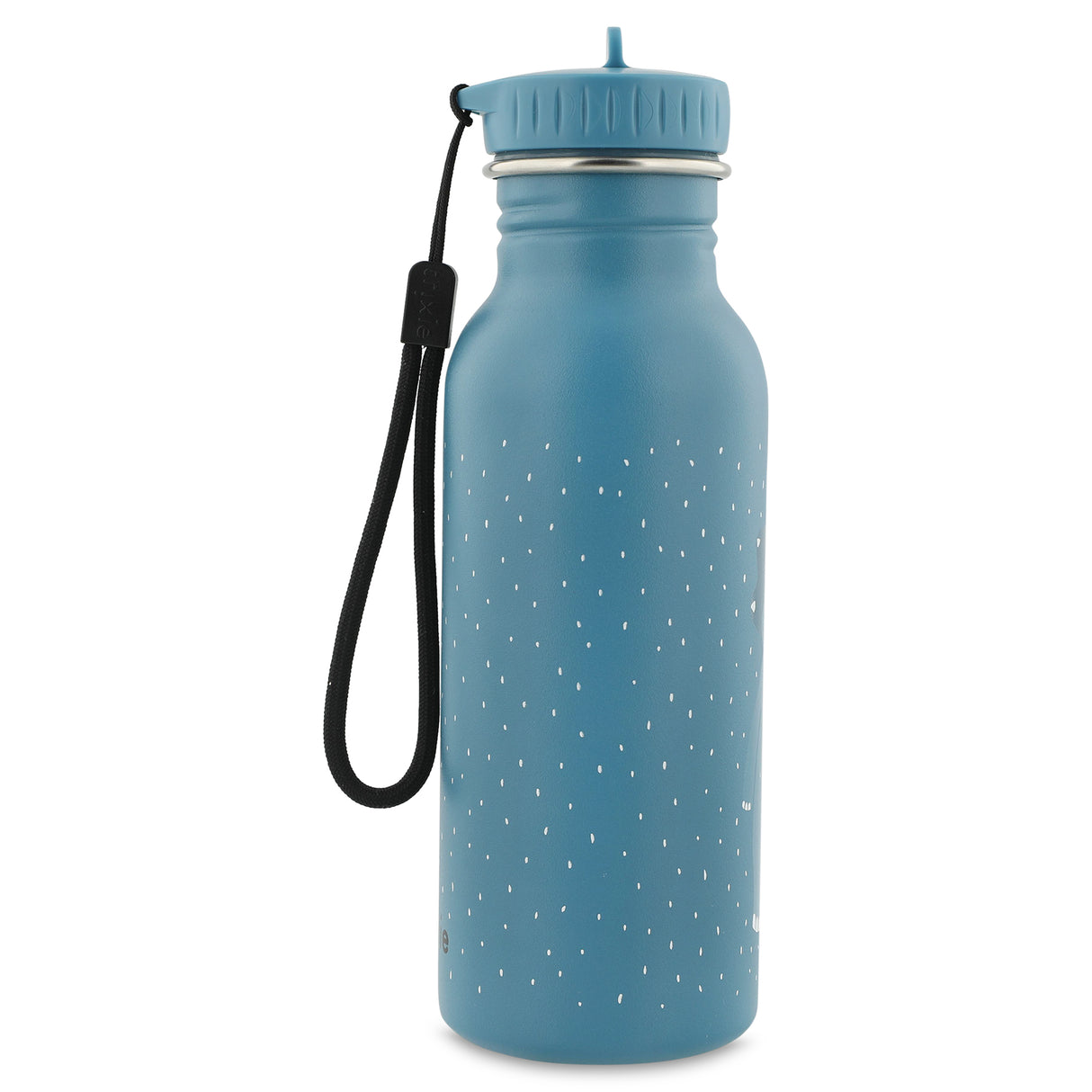 Trinkflasche - Mr. Triceratops 500ml