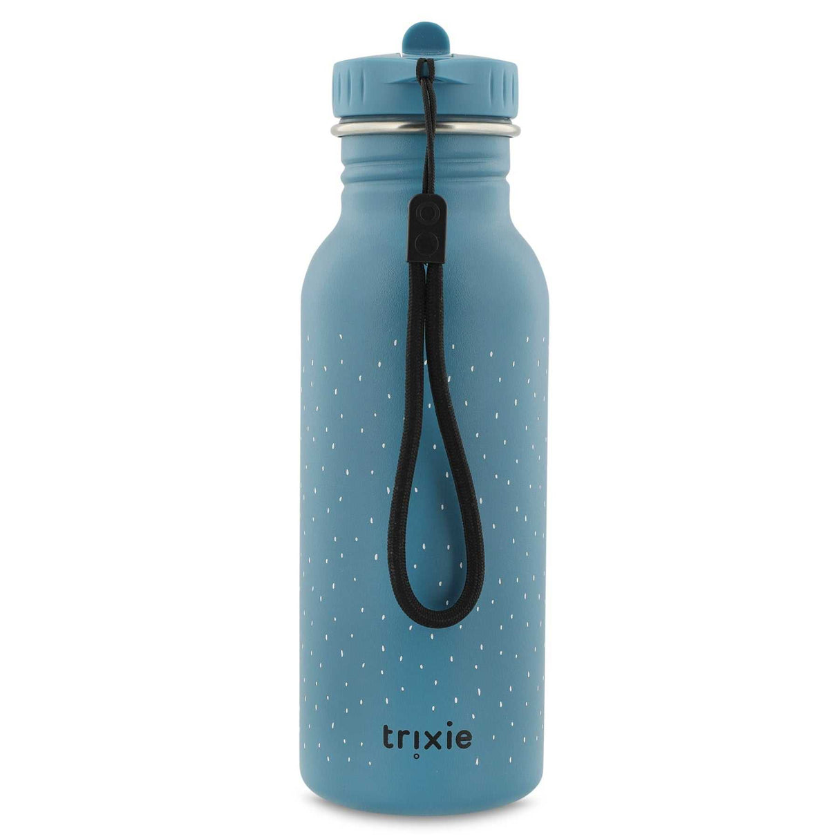 Trinkflasche - Mr. Triceratops 500ml