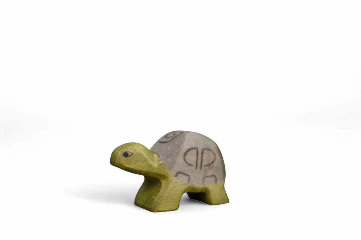 Schildkröte klein