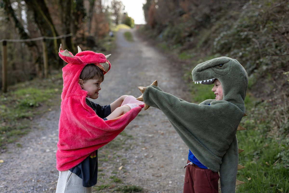 Triceratops Kuschelumhang 3-4 Jahre