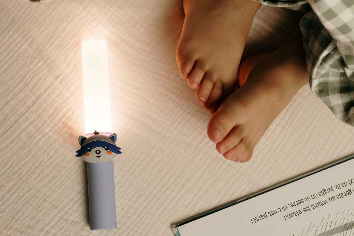 Lampe/ Waschbär