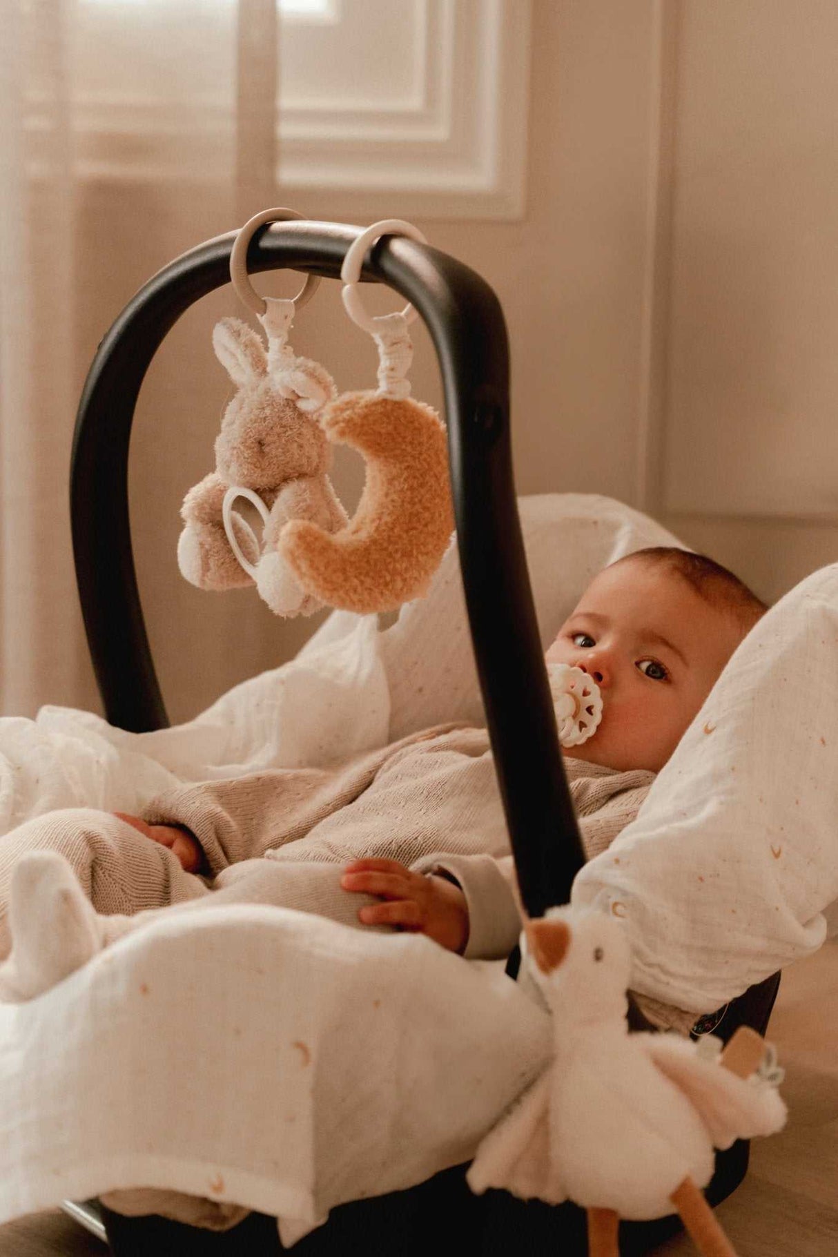 Aktivitätshänger/ Newborn Naturals