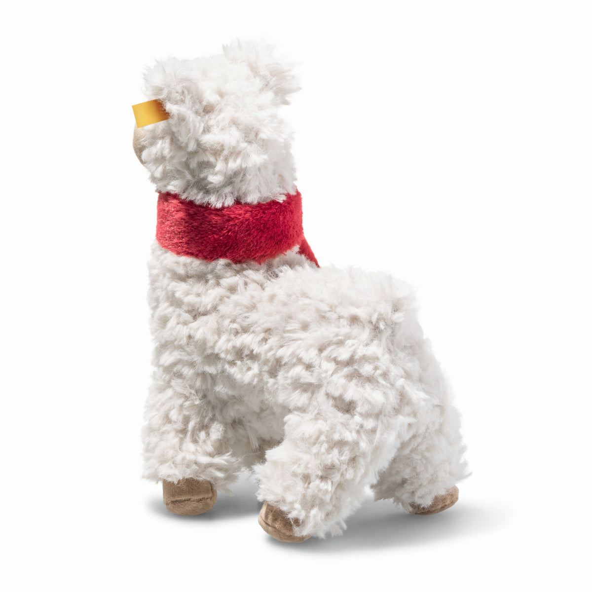 Weihnachten Leandro Lama