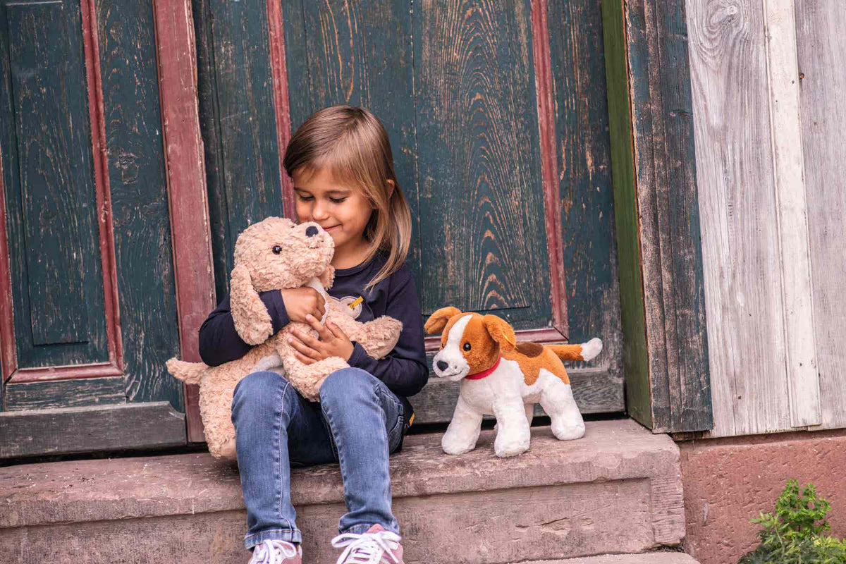Berno Goldendoodle
