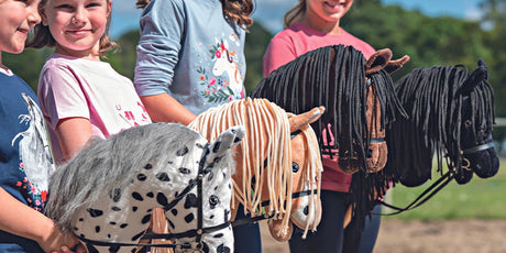 Hobby Horsing