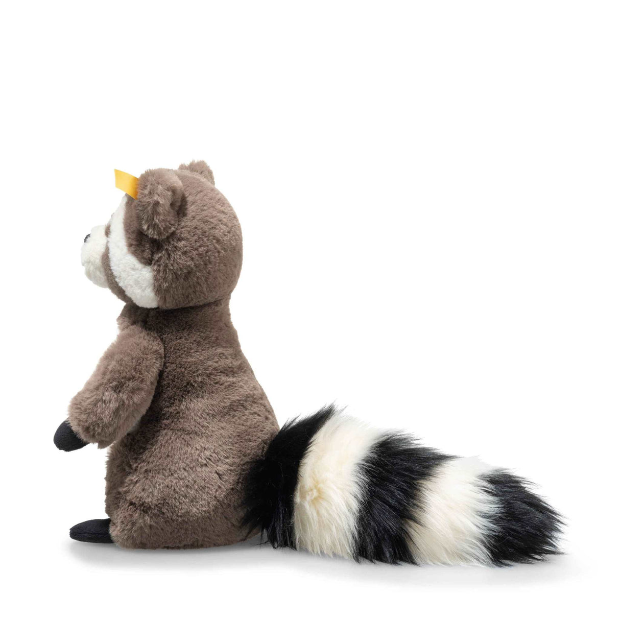 Waschbär Pedro