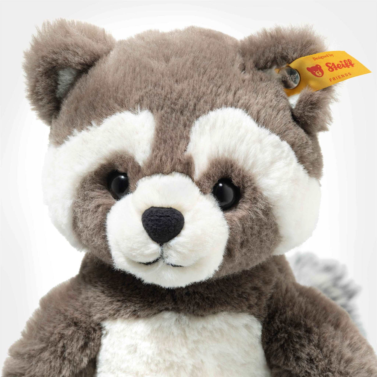 Waschbär Pedro