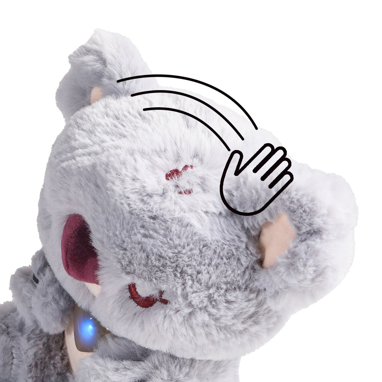 Haustier Baby Koala