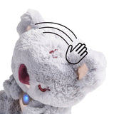 Haustier Baby Koala