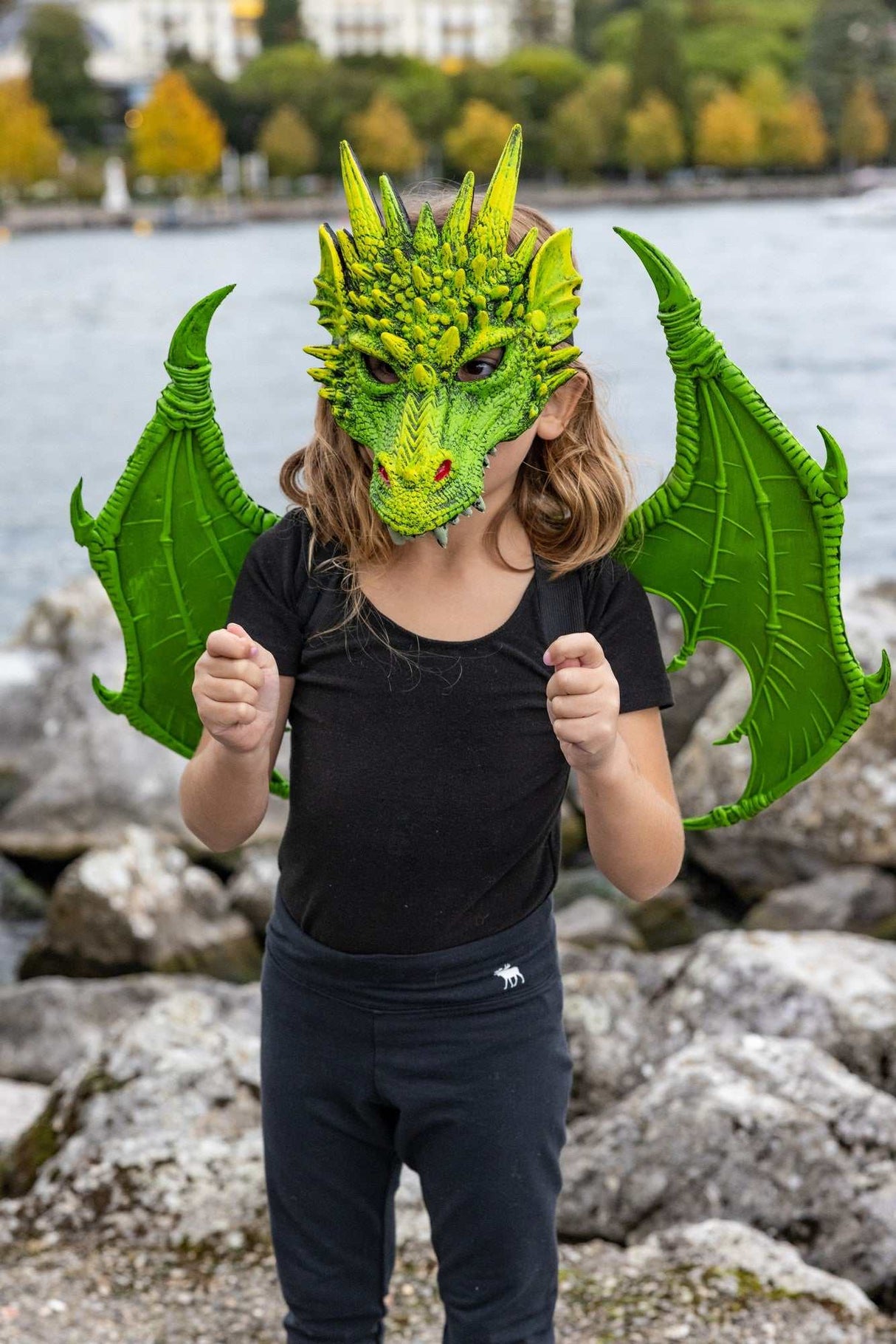 Drachenflügel