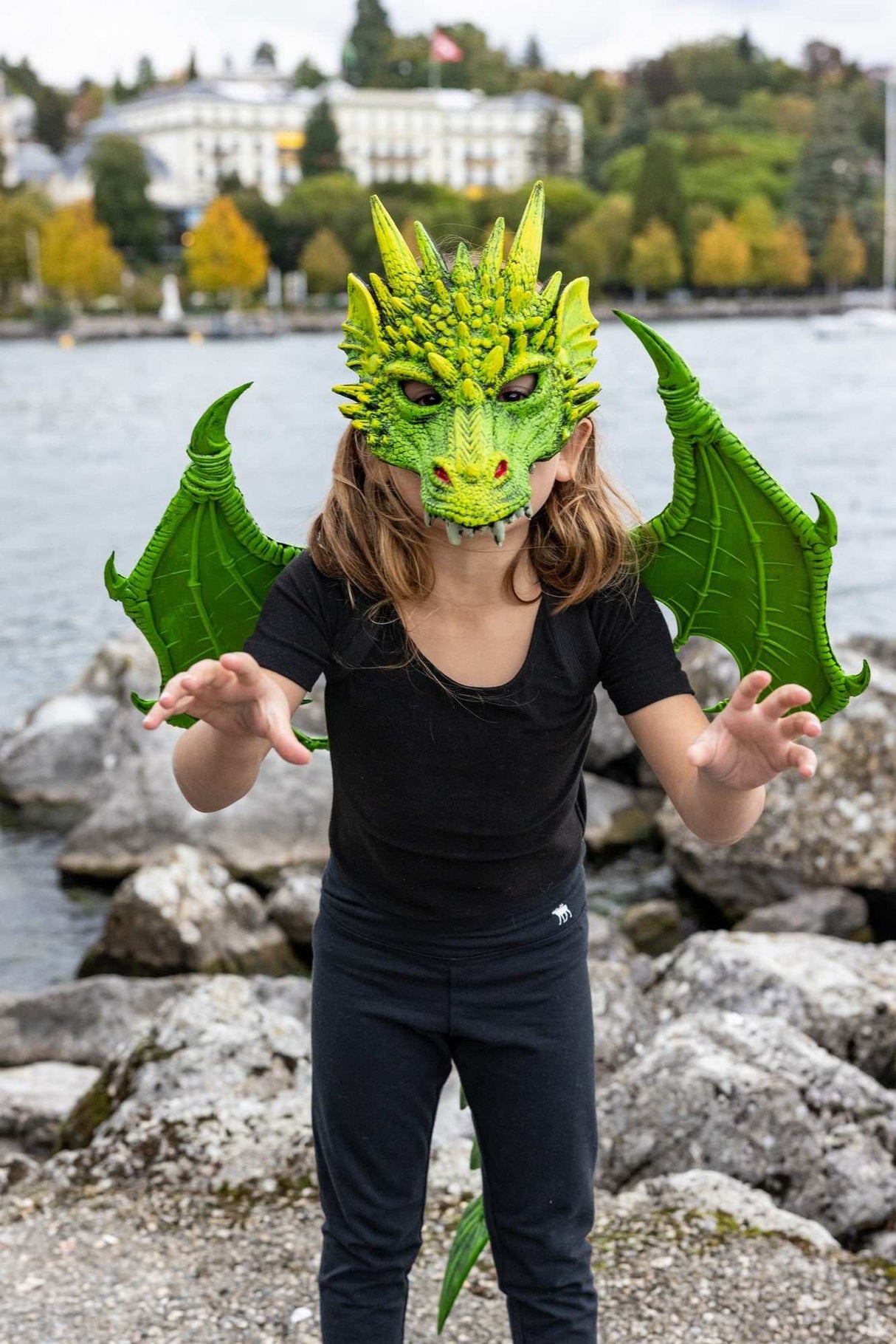 Drachenflügel