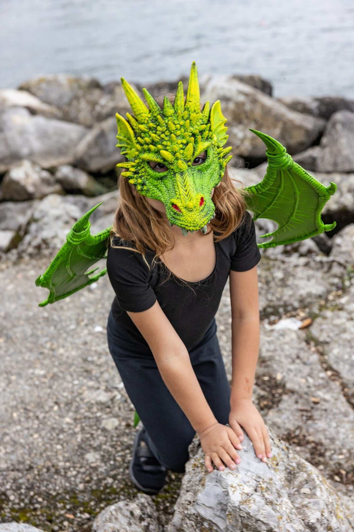 Drachenflügel