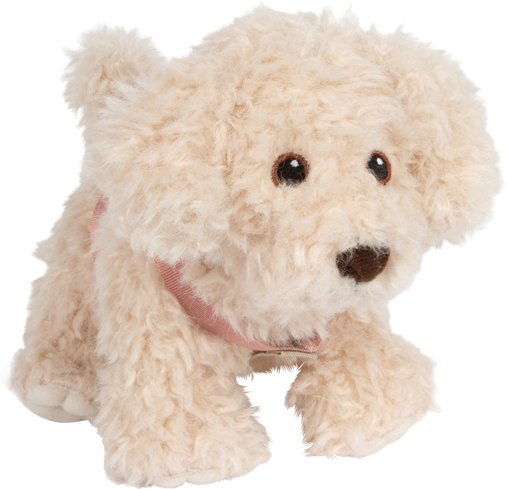 Hund mit Tasche und Pflege-Set