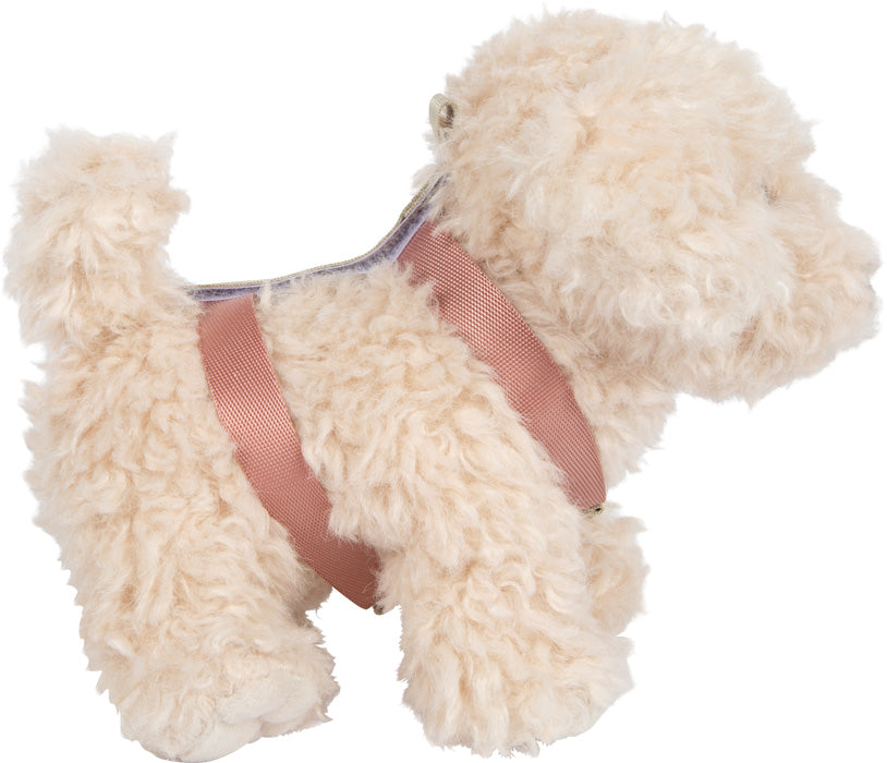 Hund mit Tasche und Pflege-Set