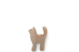 Katze Baby