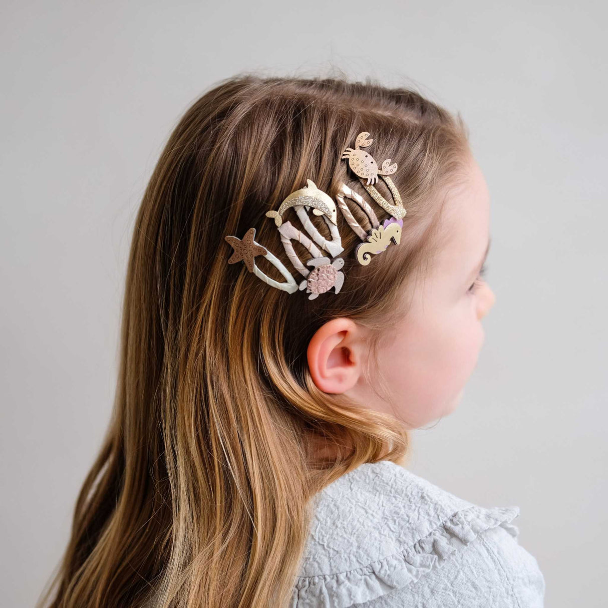 Clips Meer/ Mini