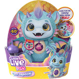 My Dream Pet: Dragon