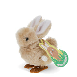 Fluffy Hoppel Hase
