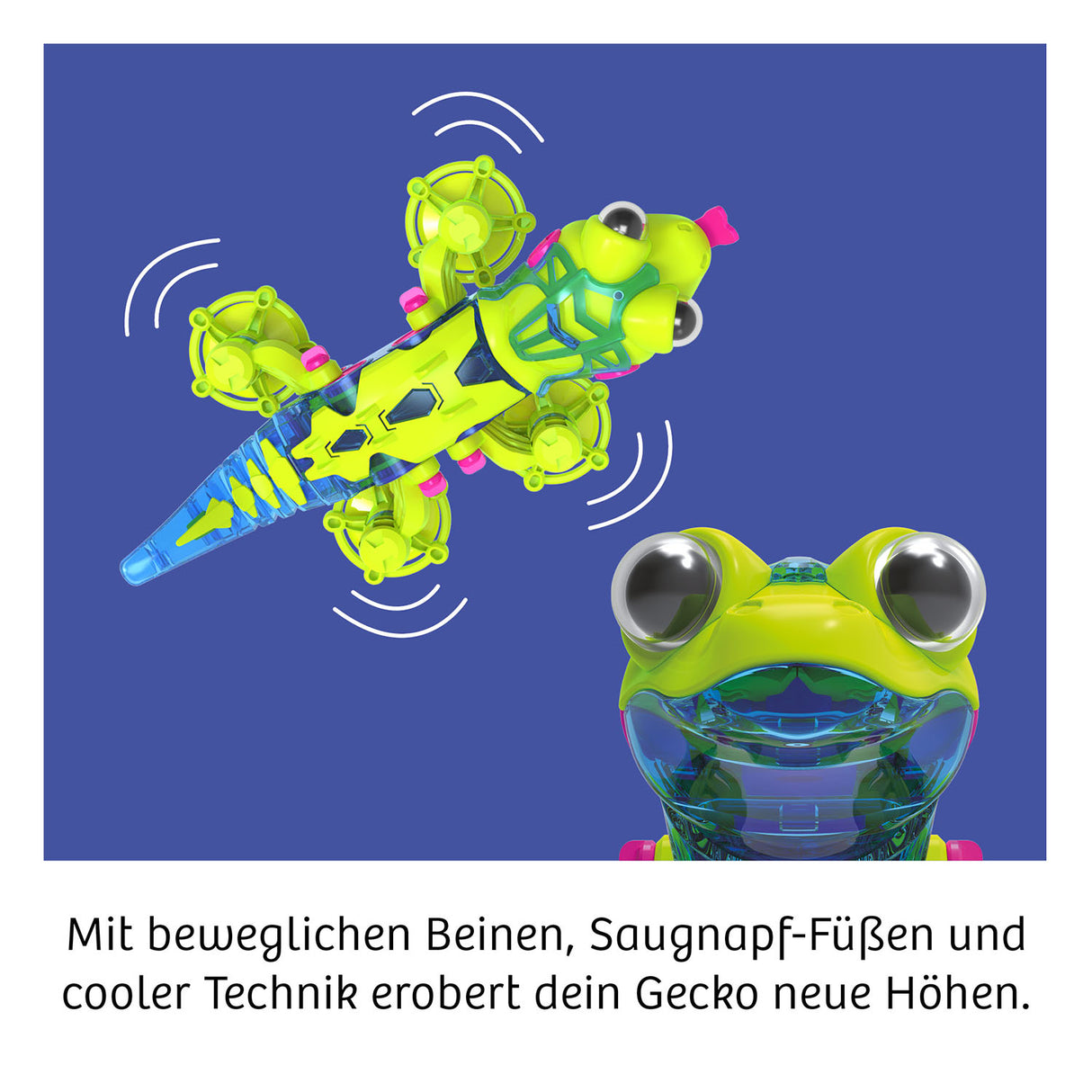 Gecko Bot