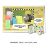 Fußball-Flummis