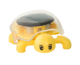 PhänoMINT Solar Schildkröte