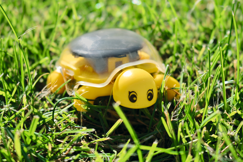 PhänoMINT Solar Schildkröte