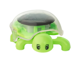 PhänoMINT Solar Schildkröte