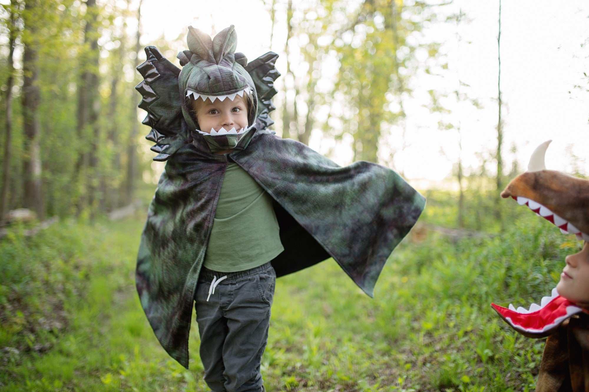 Dinosaurier Kostüm 4-6 Jahre