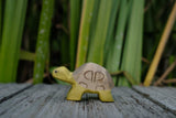 Schildkröte klein