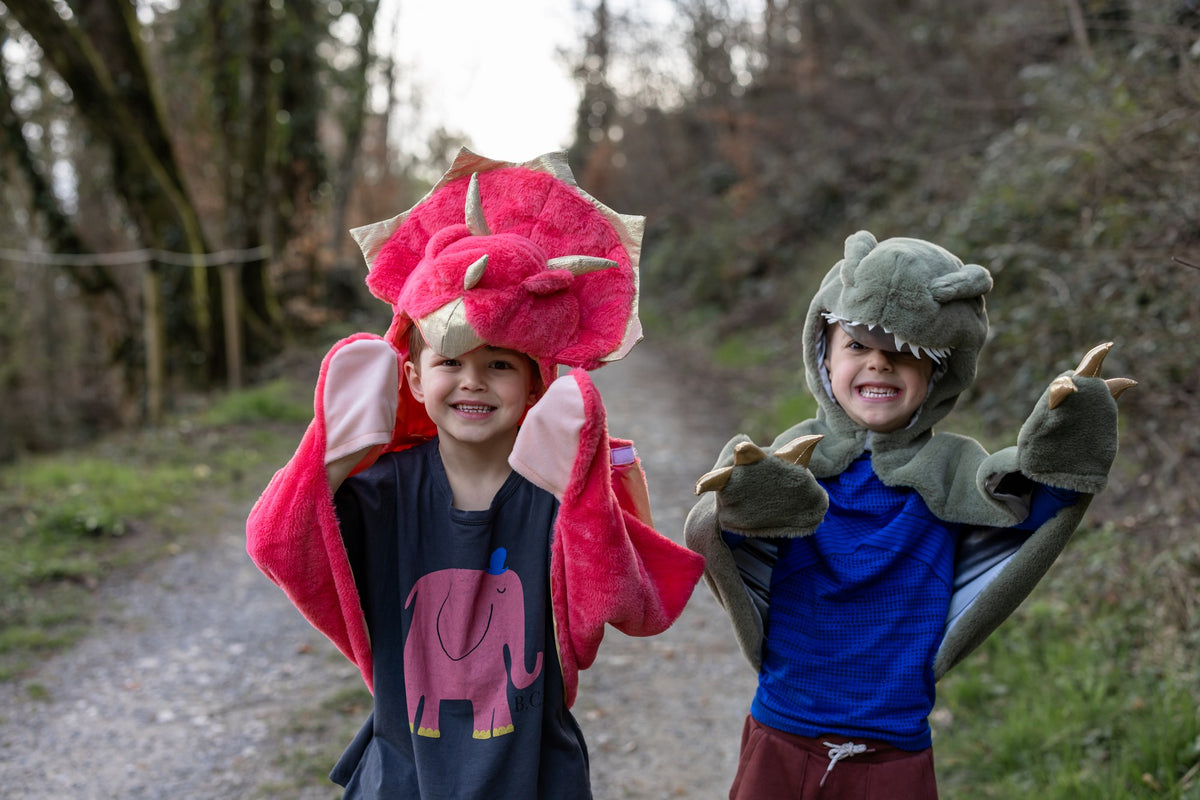 Triceratops Kuschelumhang 3-4 Jahre