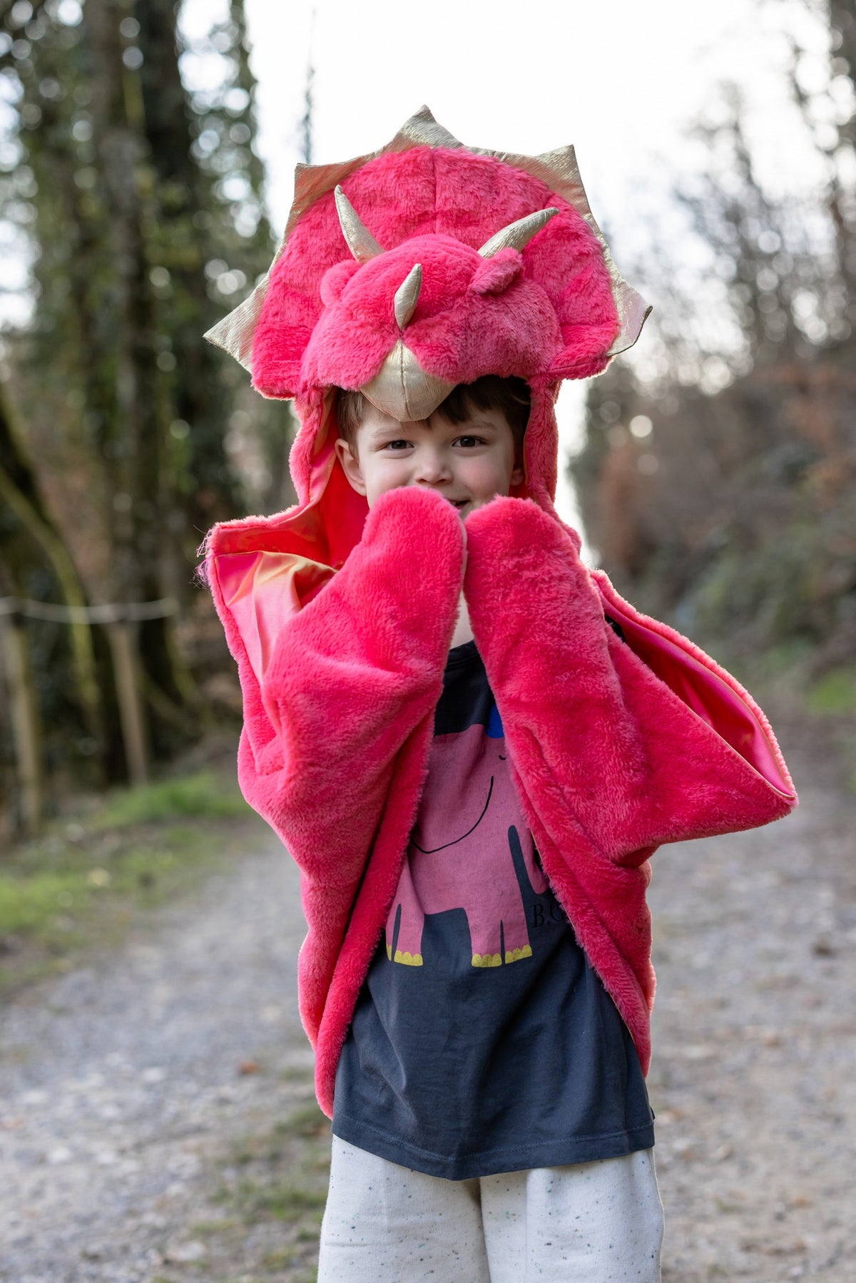 Triceratops Kuschelumhang 3-4 Jahre