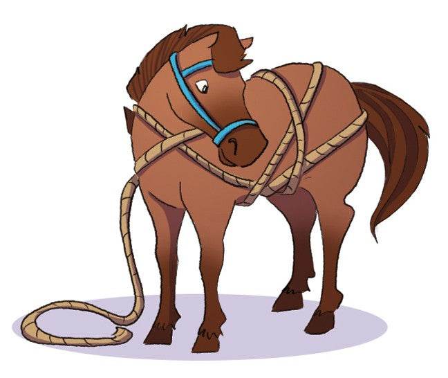 Das Quiz Pferde und Ponys