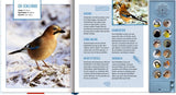 Vögel im Winter bei dir zu Gast