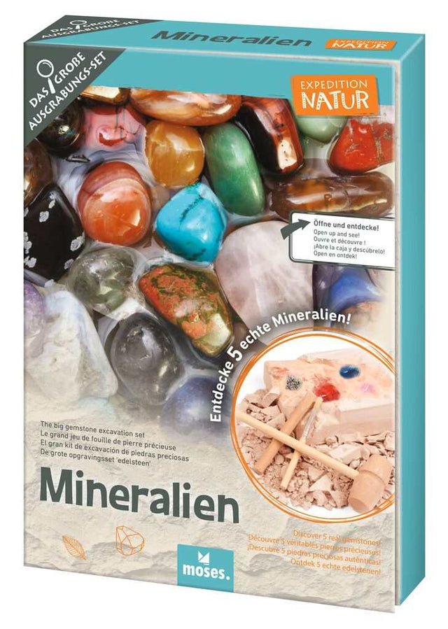 Kinder beim Ausgraben echter Mineralien aus Gipsblock mit Werkzeug im Mineralien-Ausgrabungs-Set