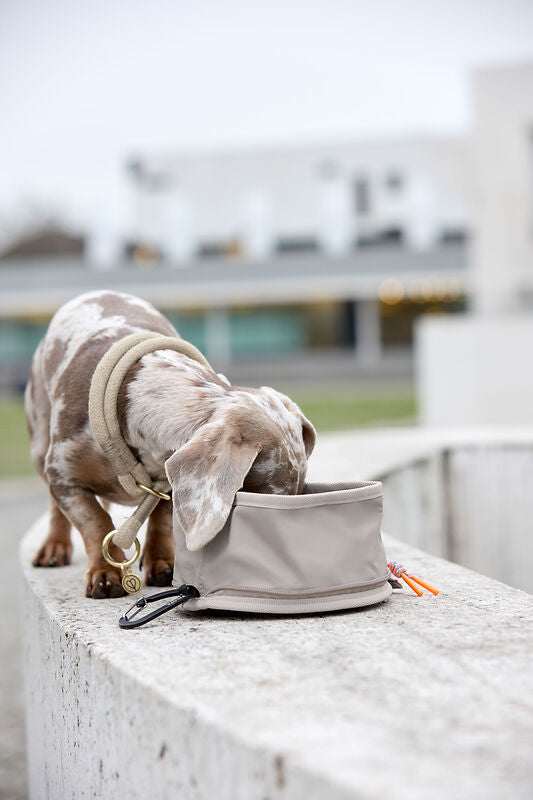 Hundenapf "to go"- Tura/ taupe