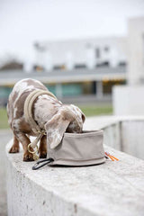 Hundenapf "to go"- Tura/ taupe