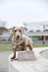 Hundenapf "to go"- Tura/ taupe