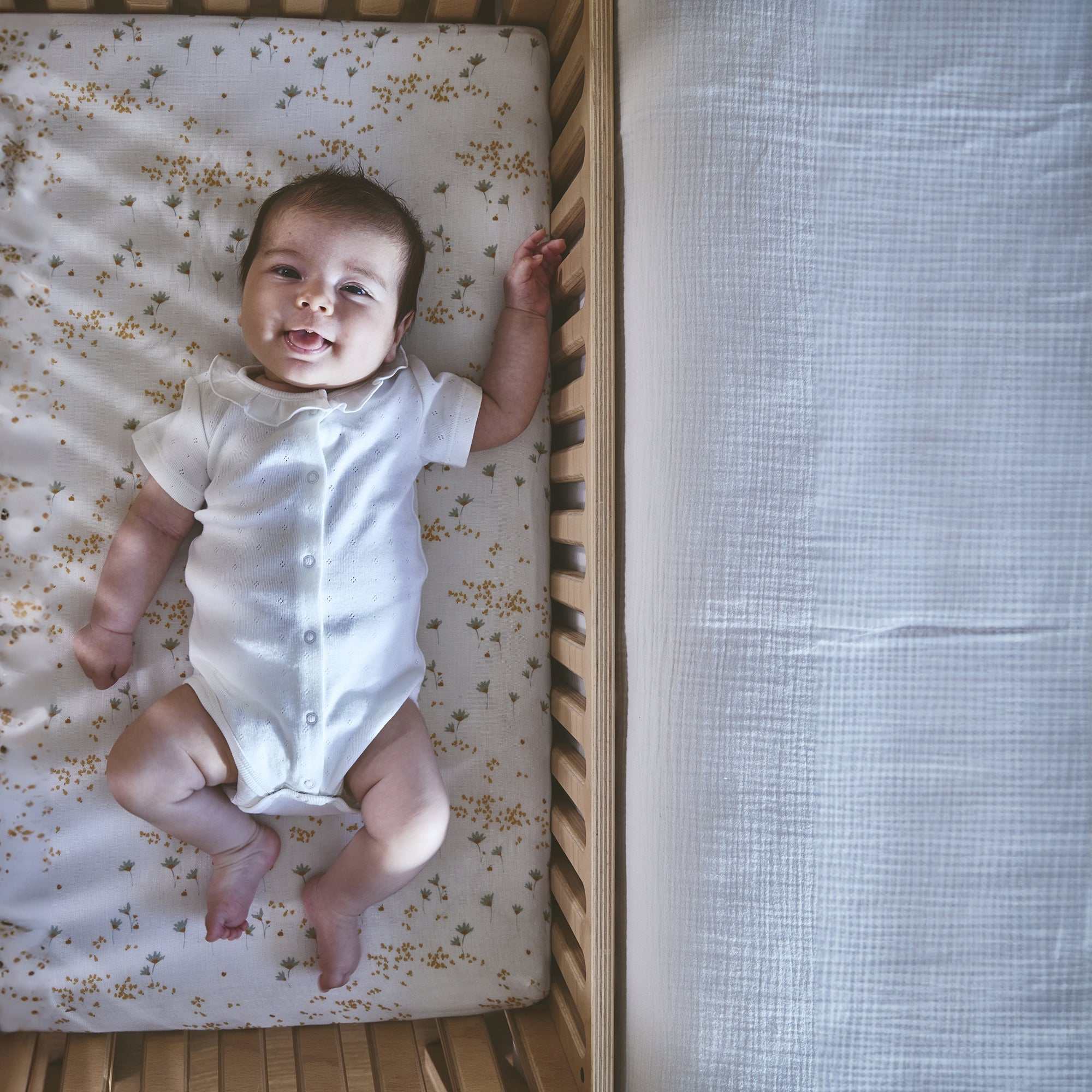 Beistellbett KODO inkl. Matratze