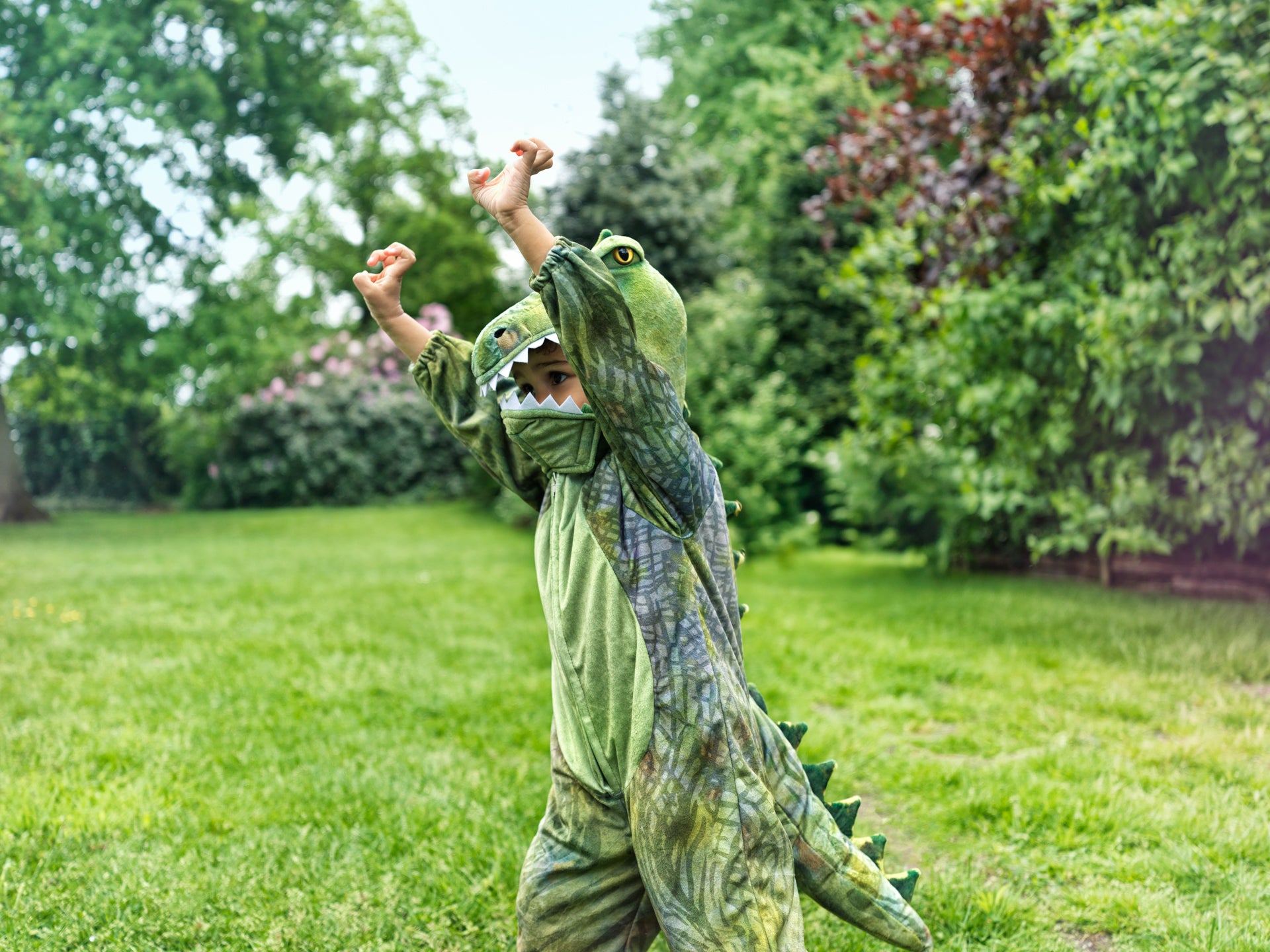 Kostüm T-Rex 5-7 Jahre