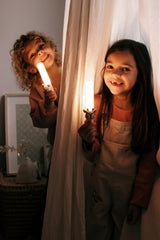 Lampe/ Reh
