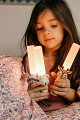 Lampe/ Waschbär