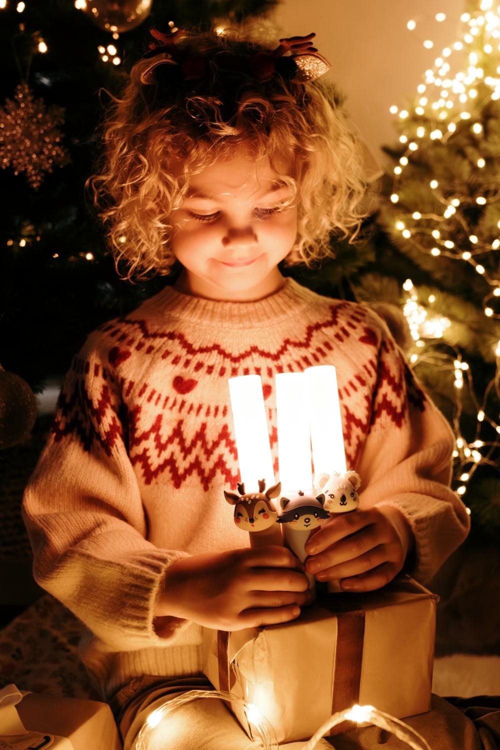 Lampe/ Waschbär