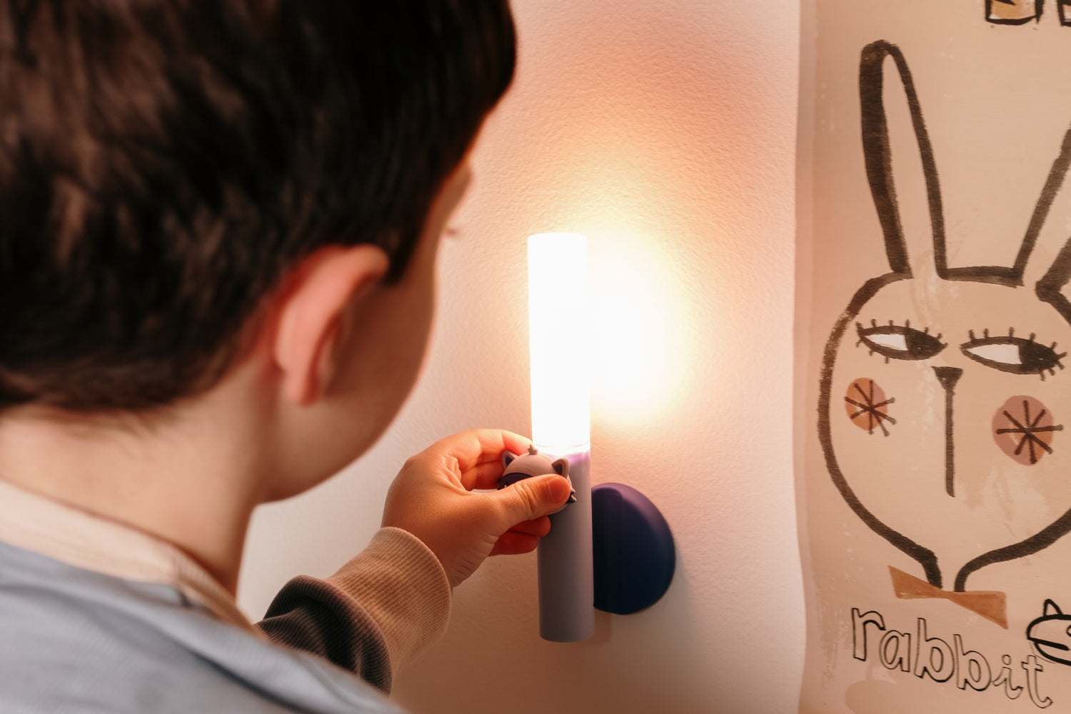 Lampe/ Waschbär