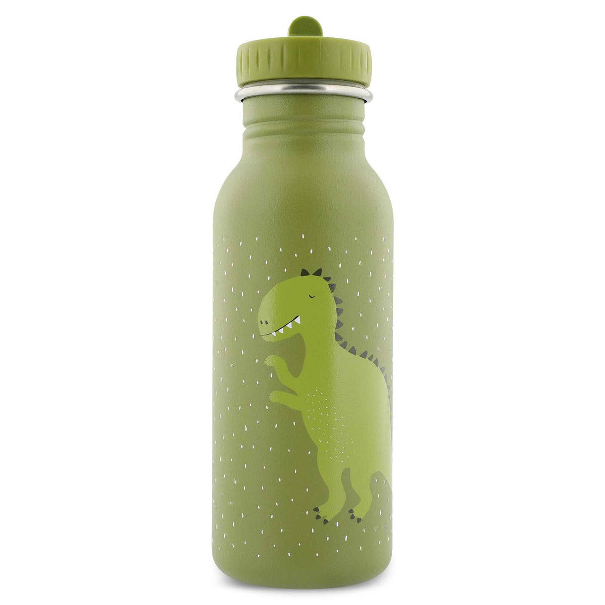 Trinkflasche Mr. Dino 500ml