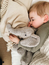 Kuscheltier & Wärmekissen Elefant klein