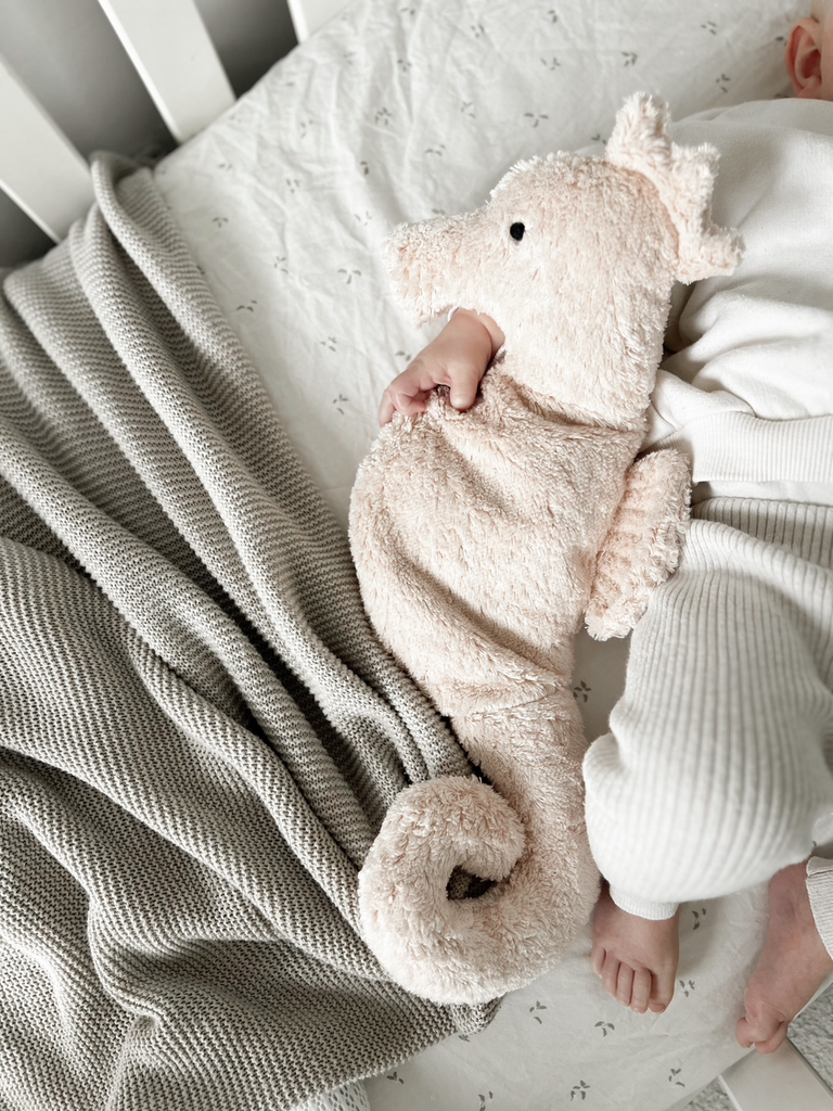 Kuscheltier & Wärmekissen Seepferdchen